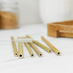 Bamboo Straws Reusable Set/ 6+Brush | Zuperzozial